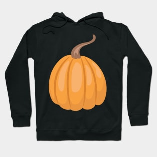 Pumpkin Hoodie